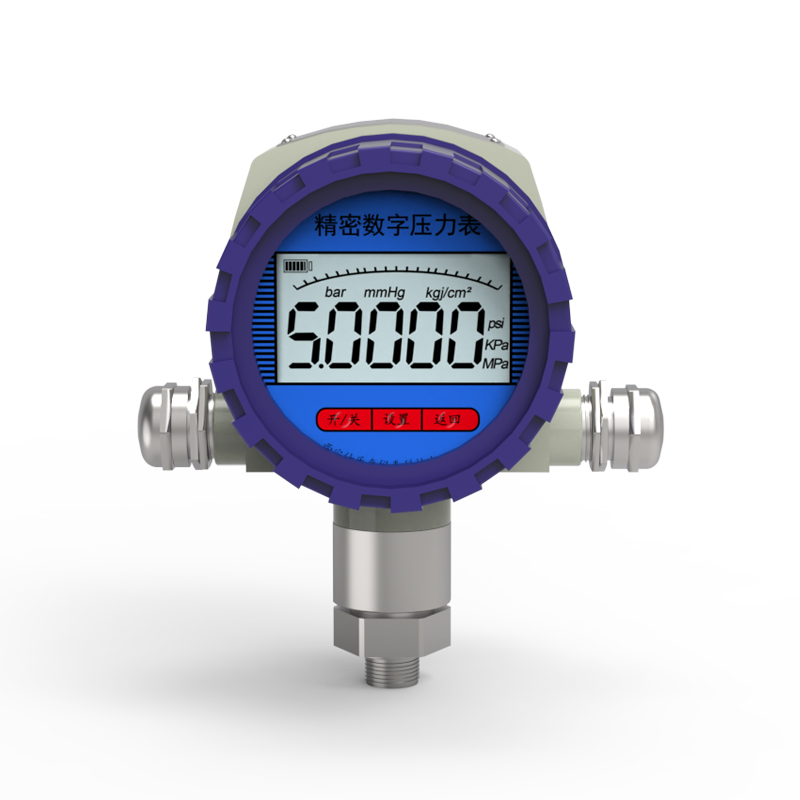 防爆數字壓力（lì）表